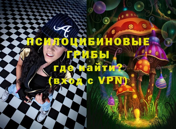 Альфа ПВП Новодвинск