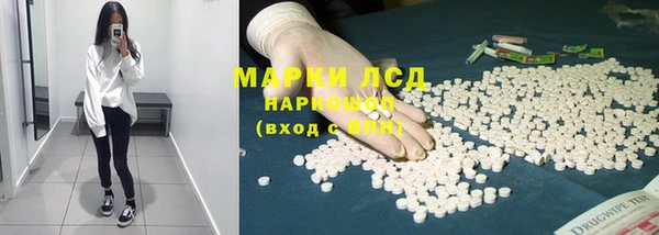 Альфа ПВП Новодвинск