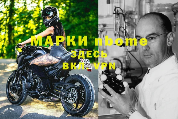 Альфа ПВП Новодвинск