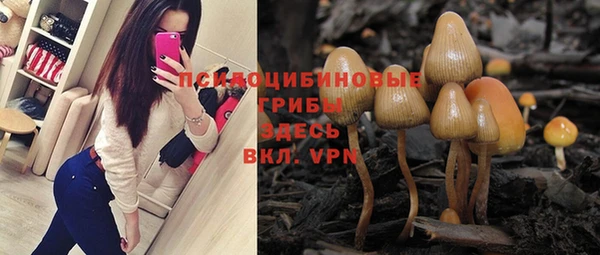 Альфа ПВП Новодвинск