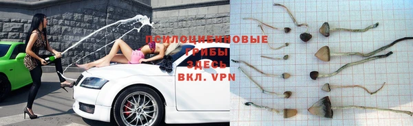 ALPHA PVP Новозыбков
