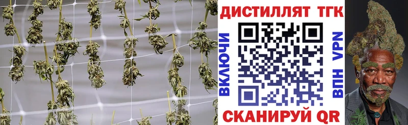 ТГК концентрат Череповец