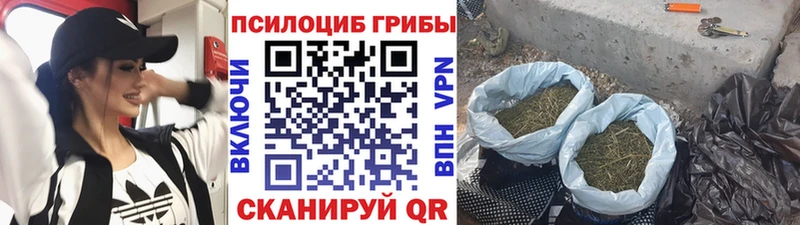 Галлюциногенные грибы мухоморы  Череповец 